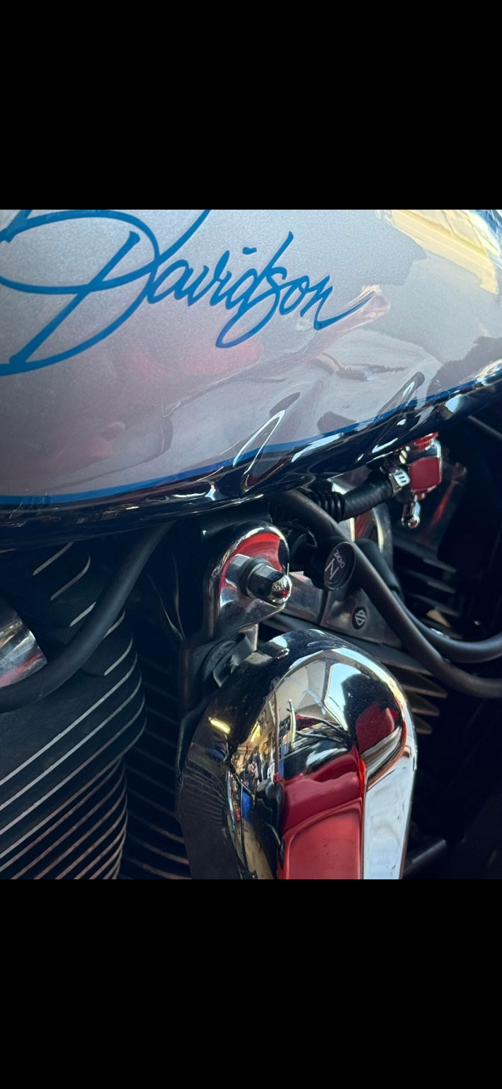 Harley-Davidson before